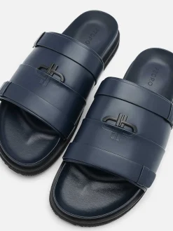 Pedro Icon Slides